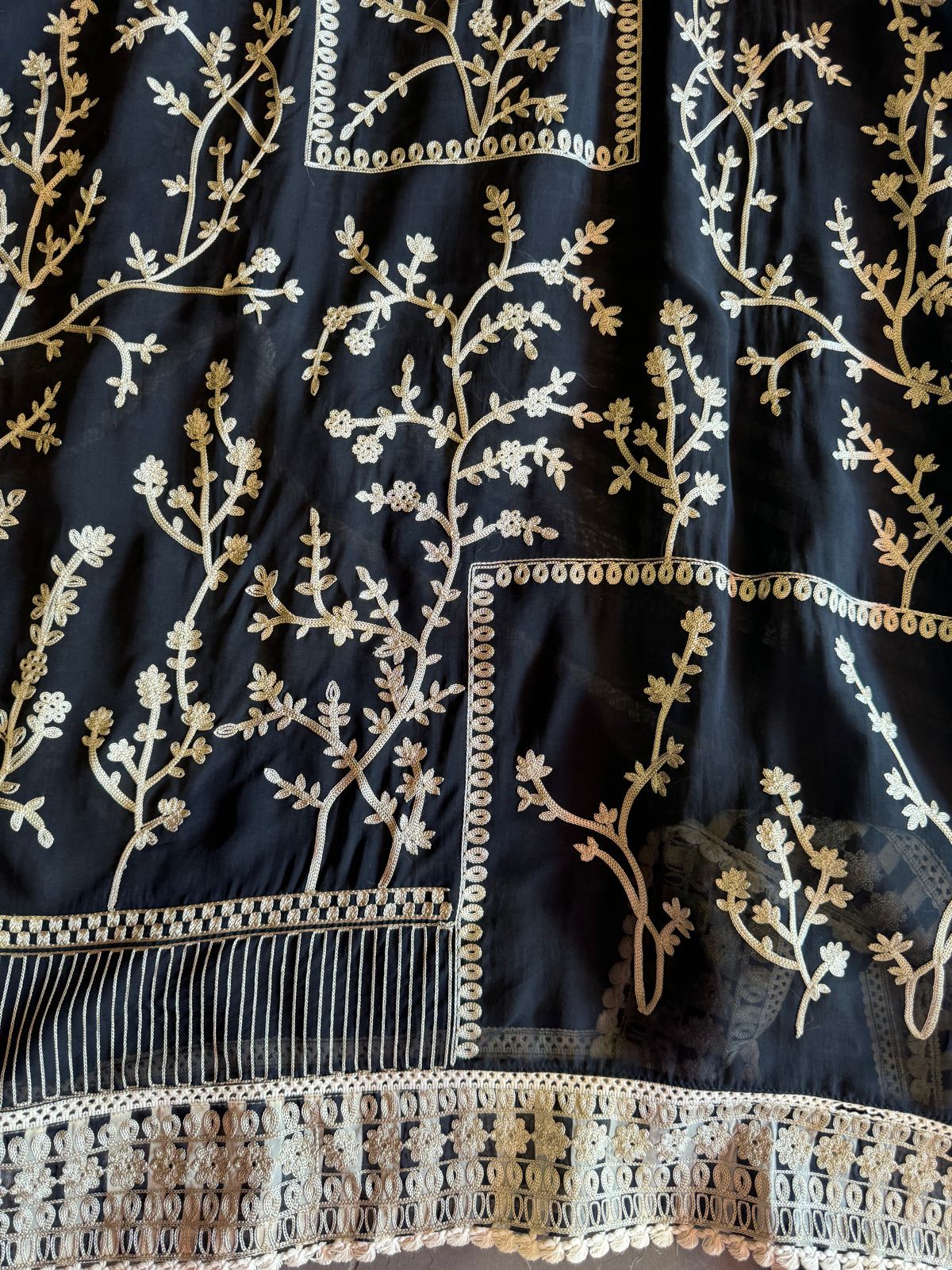 Very soft and flowy organza shirt very designer concept