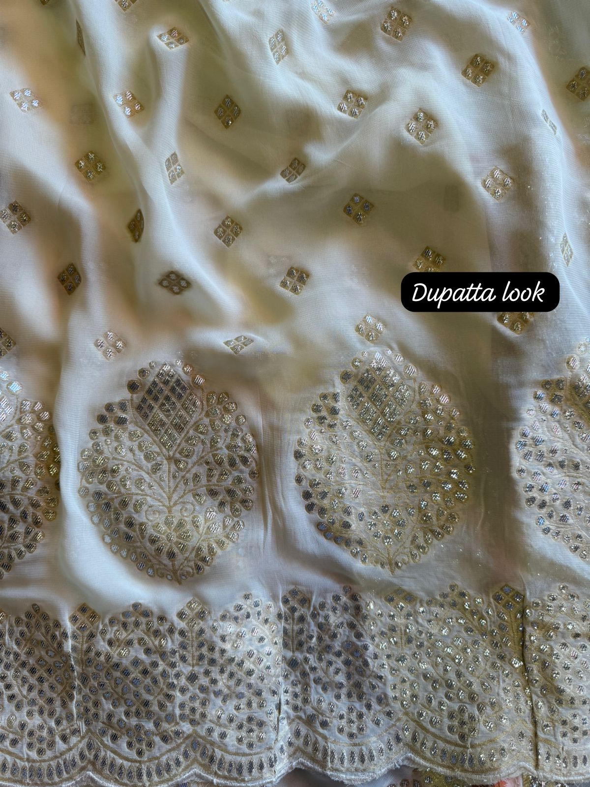 Pure banarsi Georgette shirt with overall zari booties with very beautiful neckline with mirror work done.