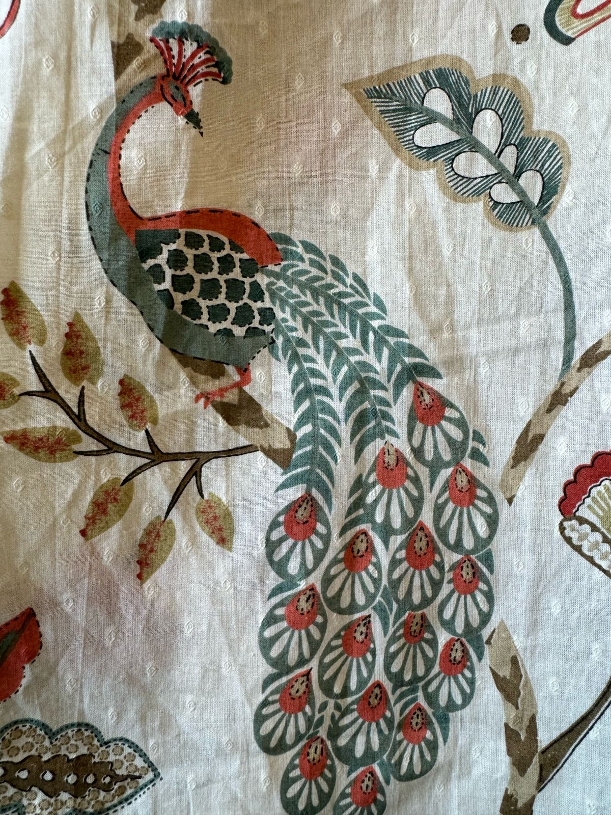 Shop our New cotton collections