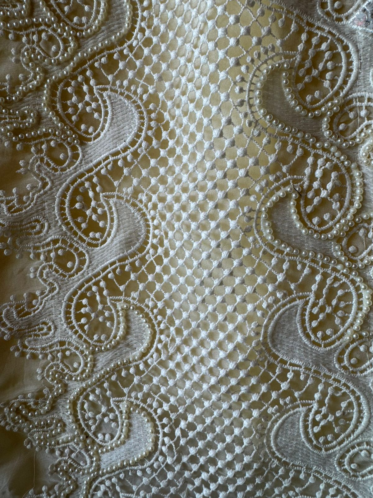 soft organza with Beautiful lacy front pannel