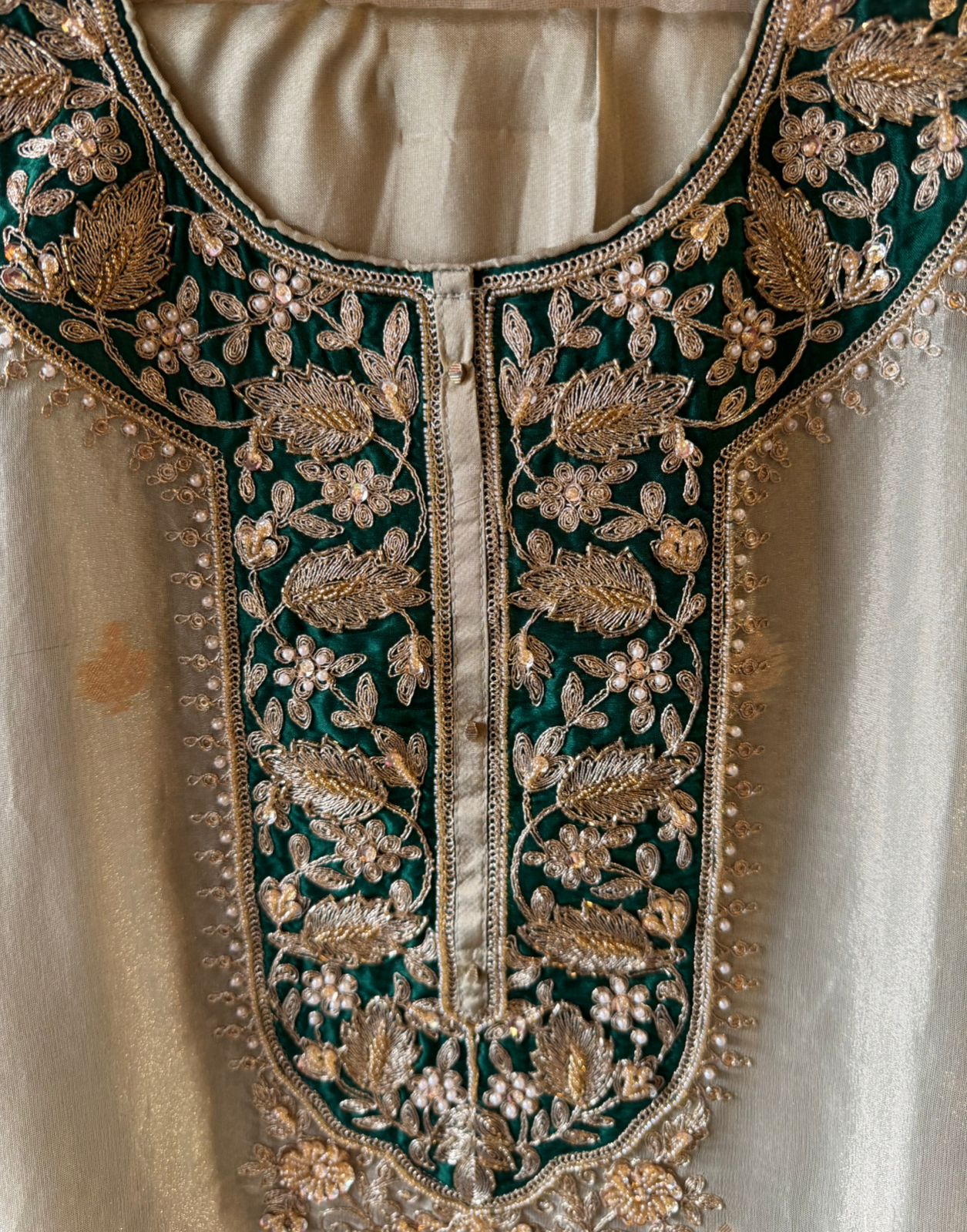 Striking contrast panel with heavy zari