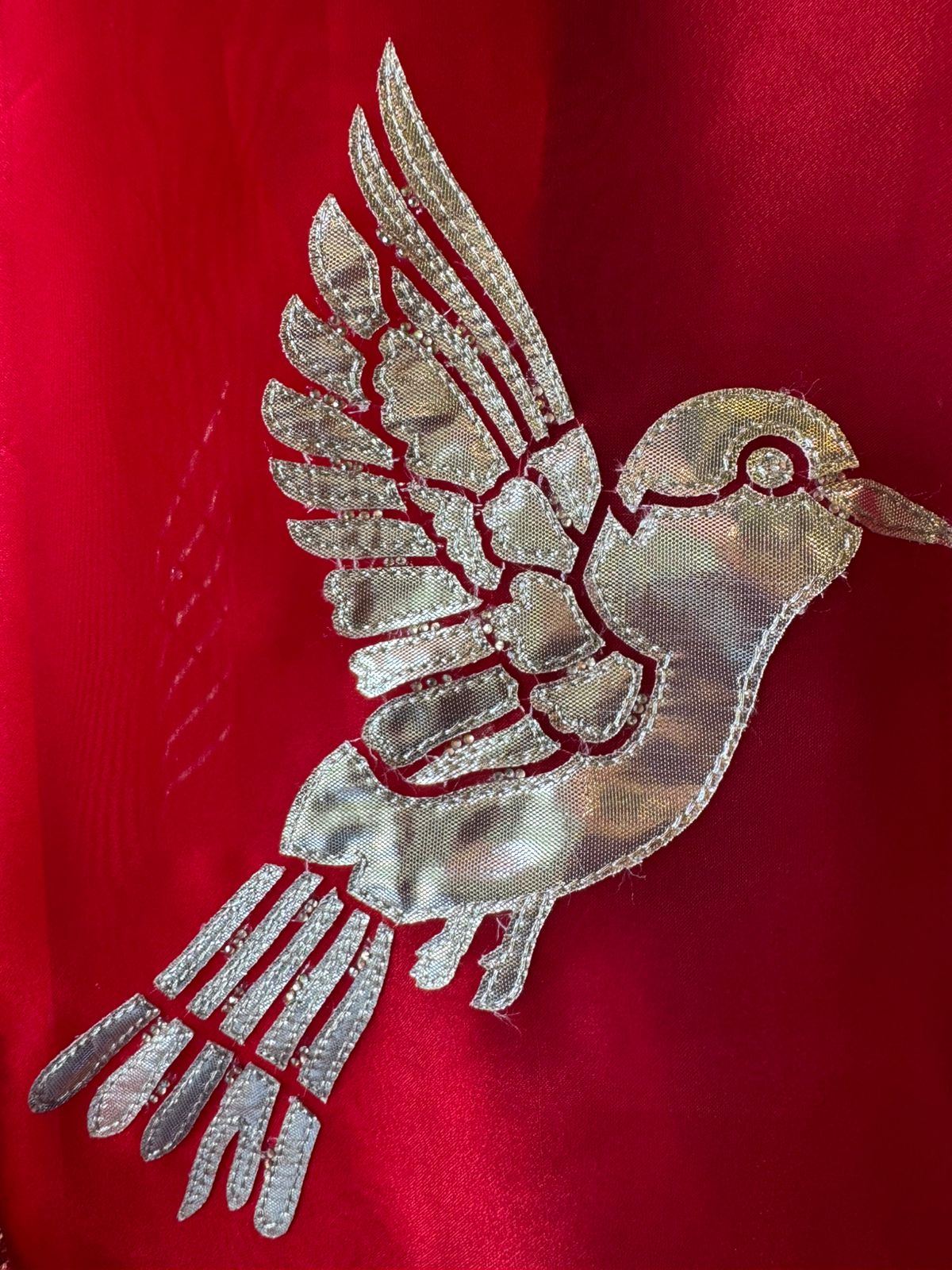 Beautiful organza Suit