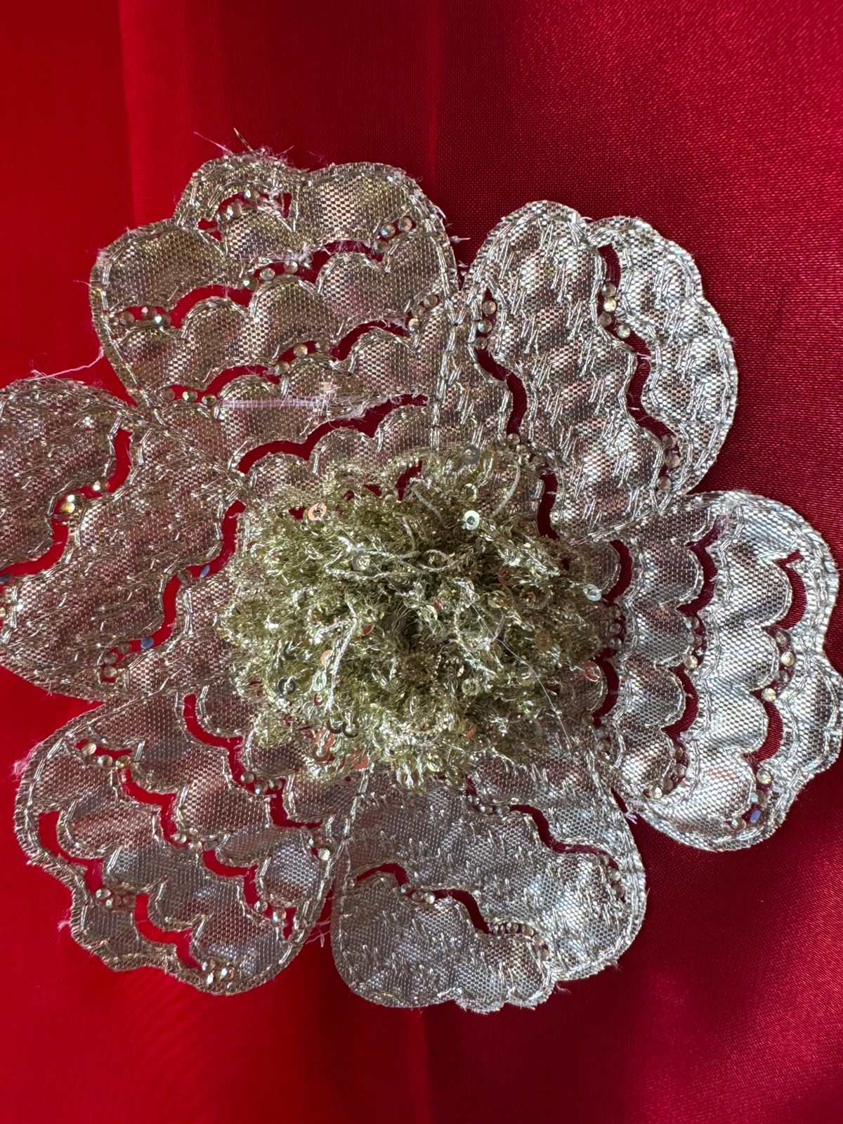 Beautiful organza Suit