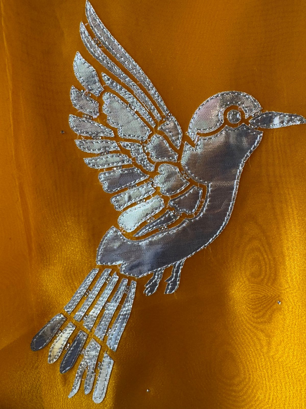 Beautiful organza Suit