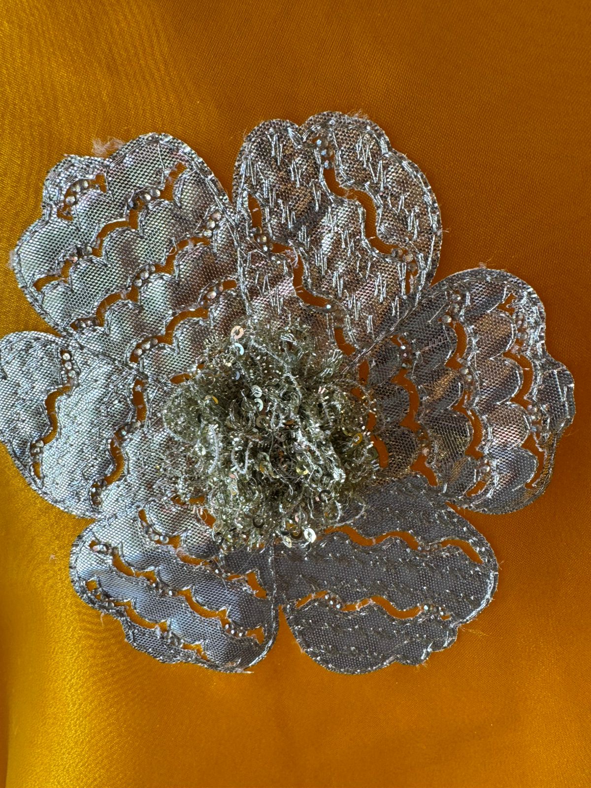 Beautiful organza Suit