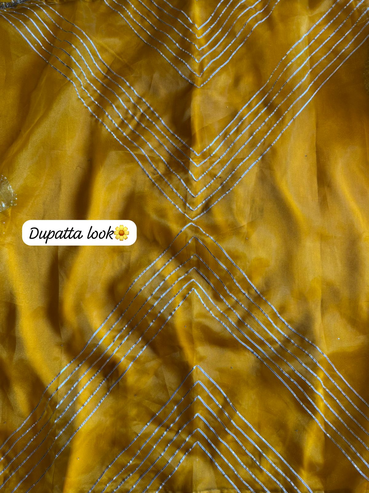 Beautiful organza Suit