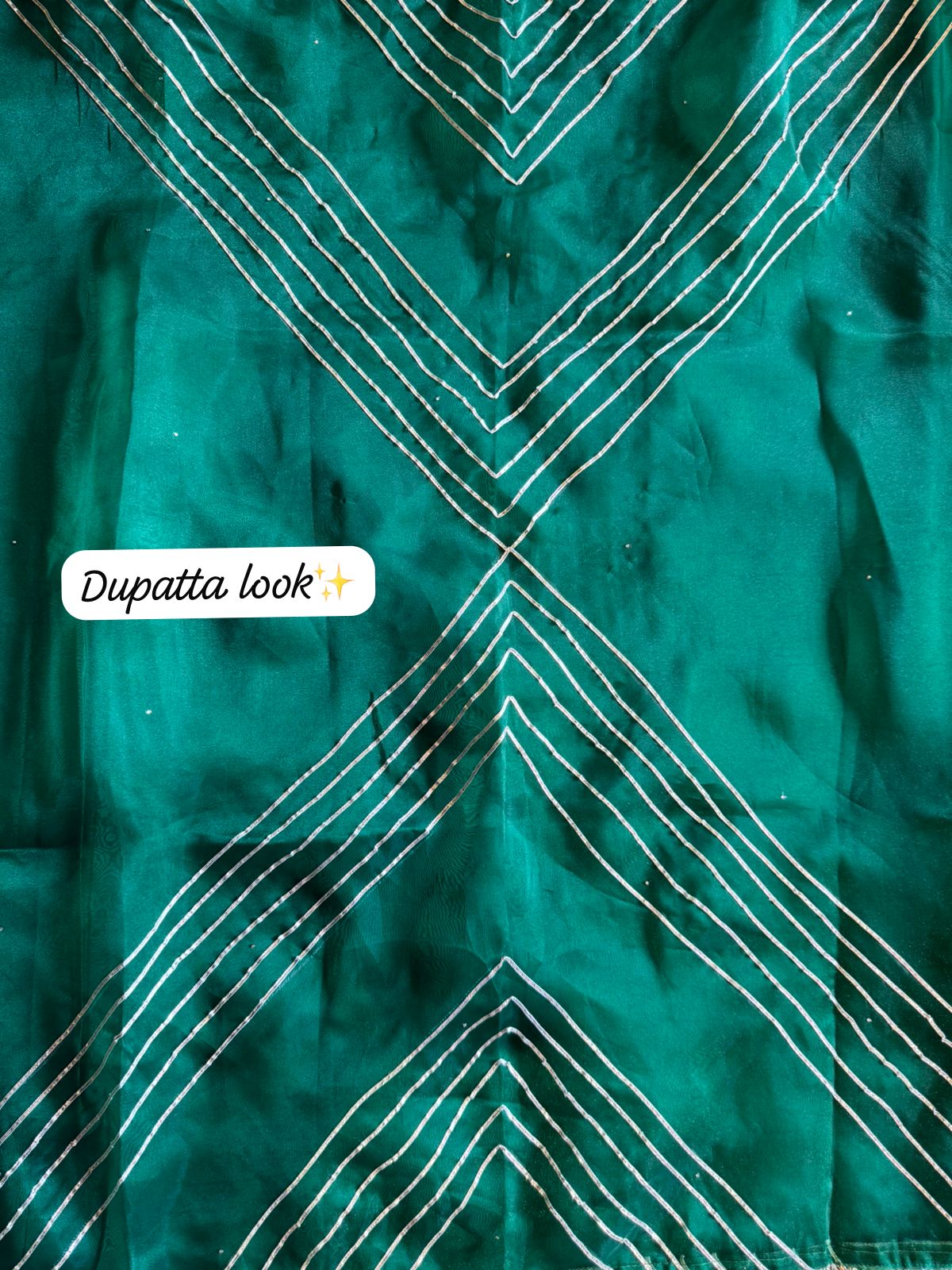 Beautiful organza Suit