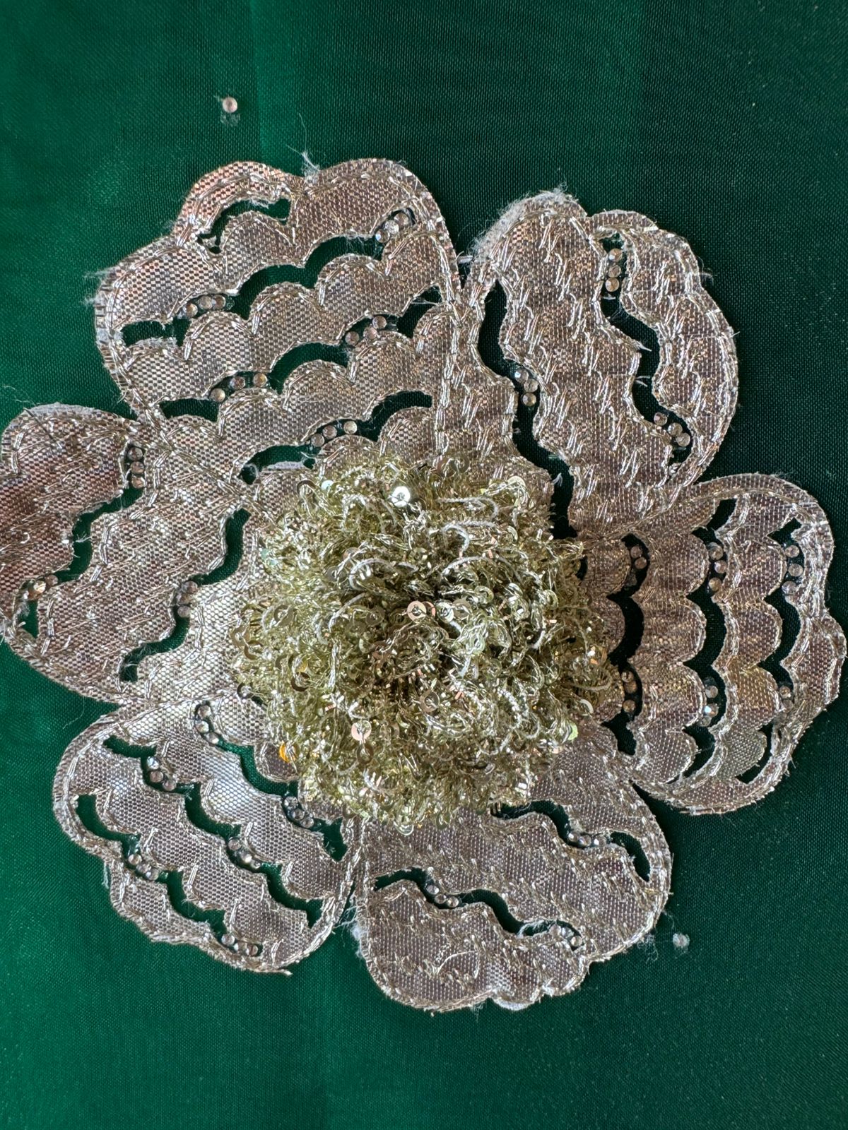 Beautiful organza Suit