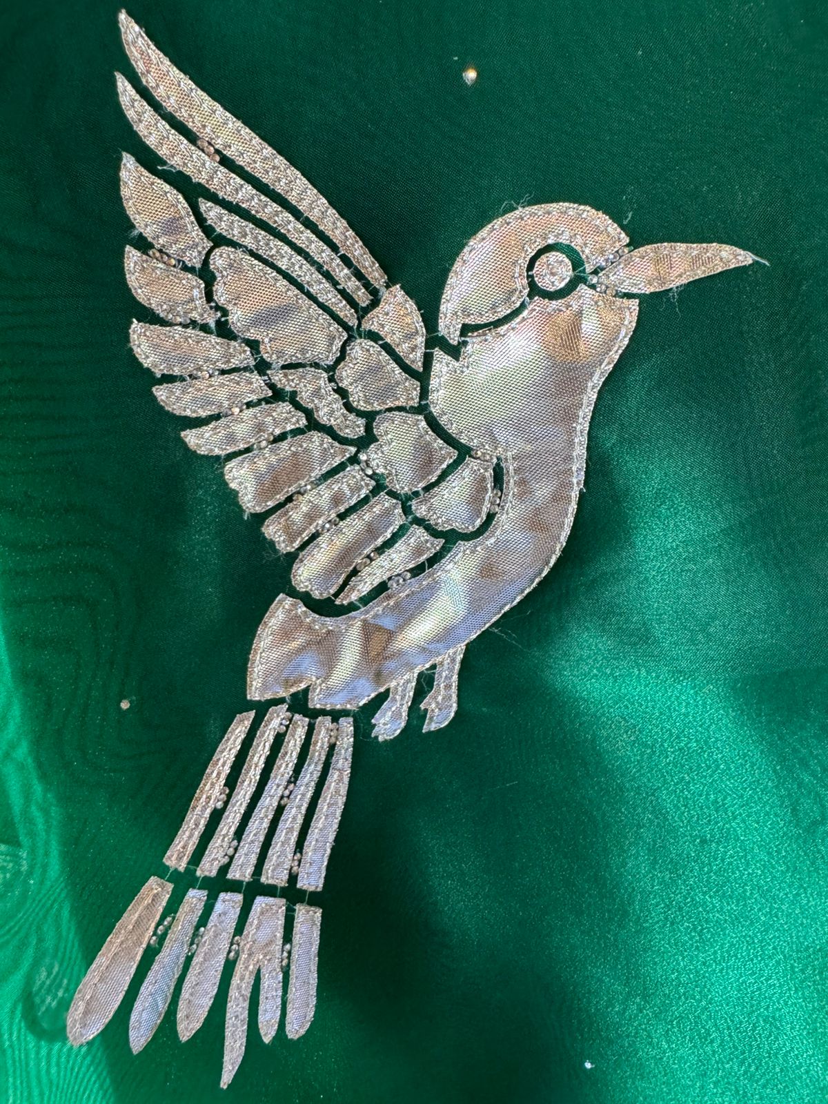 Beautiful organza Suit