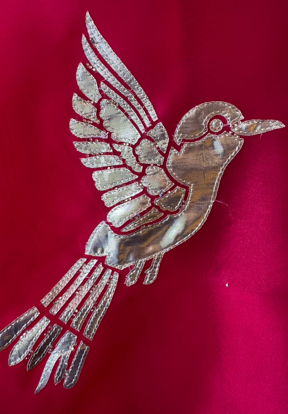 Beautiful organza Suit