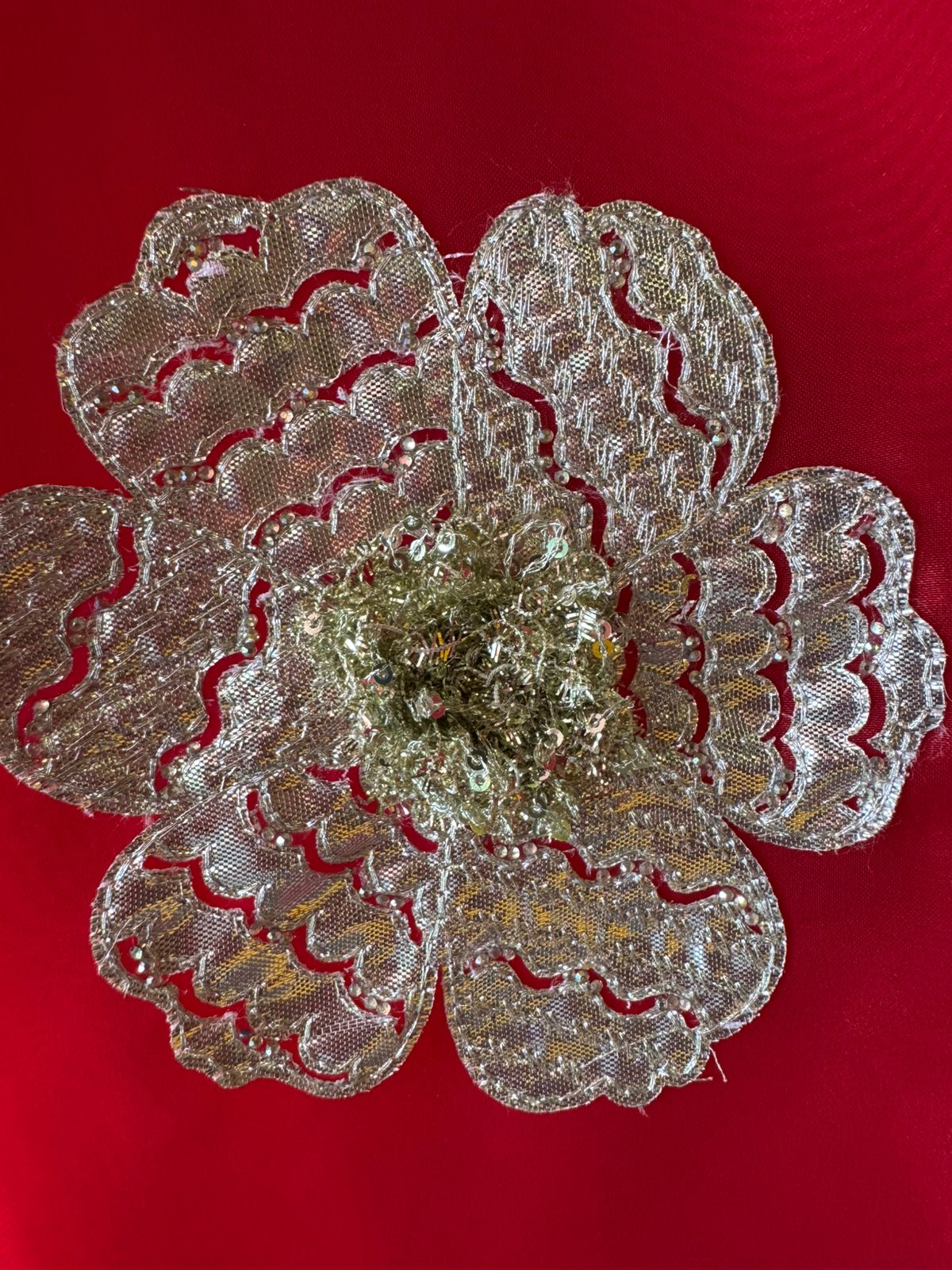 Beautiful organza Suit