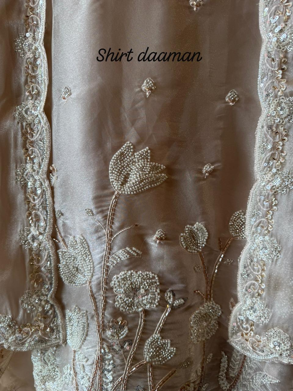 Pakistani handwork pieces On pure tissue shirt