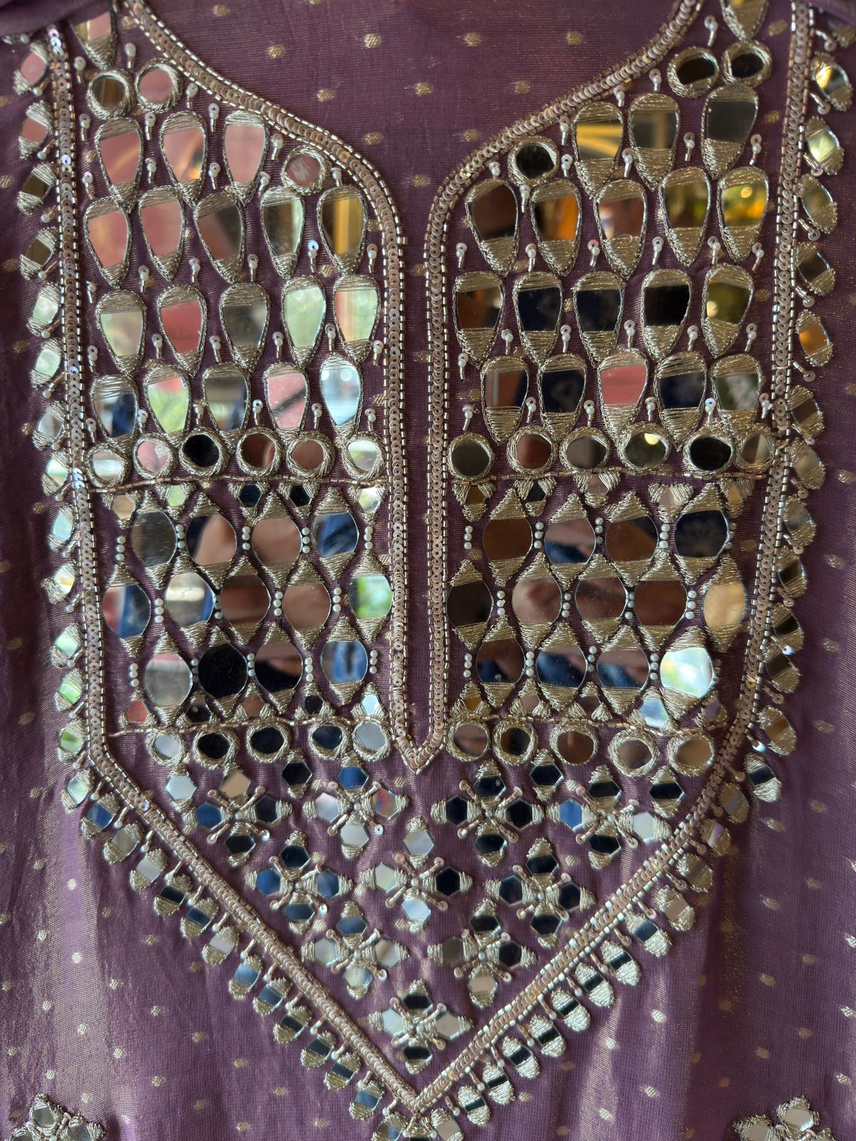 Luxury Tissue Suit with Intricate Mirror Embroidery & Opada Silk Bottoms