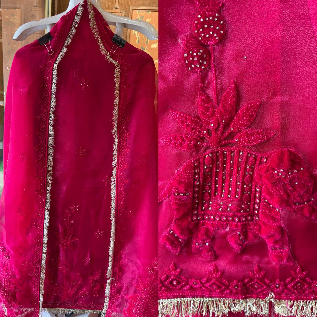 Velvet Elephant Appliqué Organza Unstitched Suit