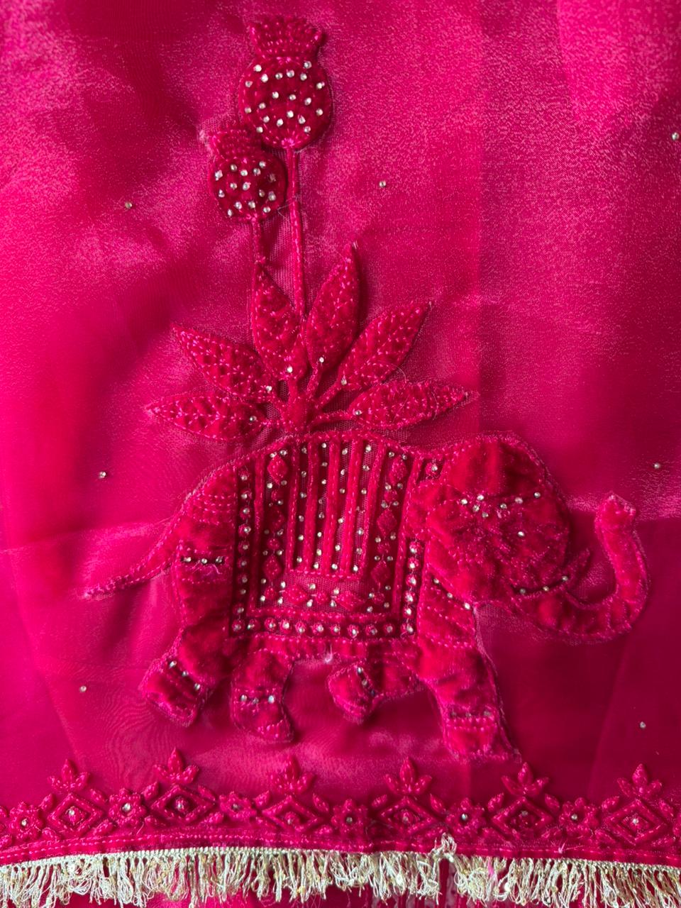 Velvet Elephant Appliqué Organza Unstitched Suit