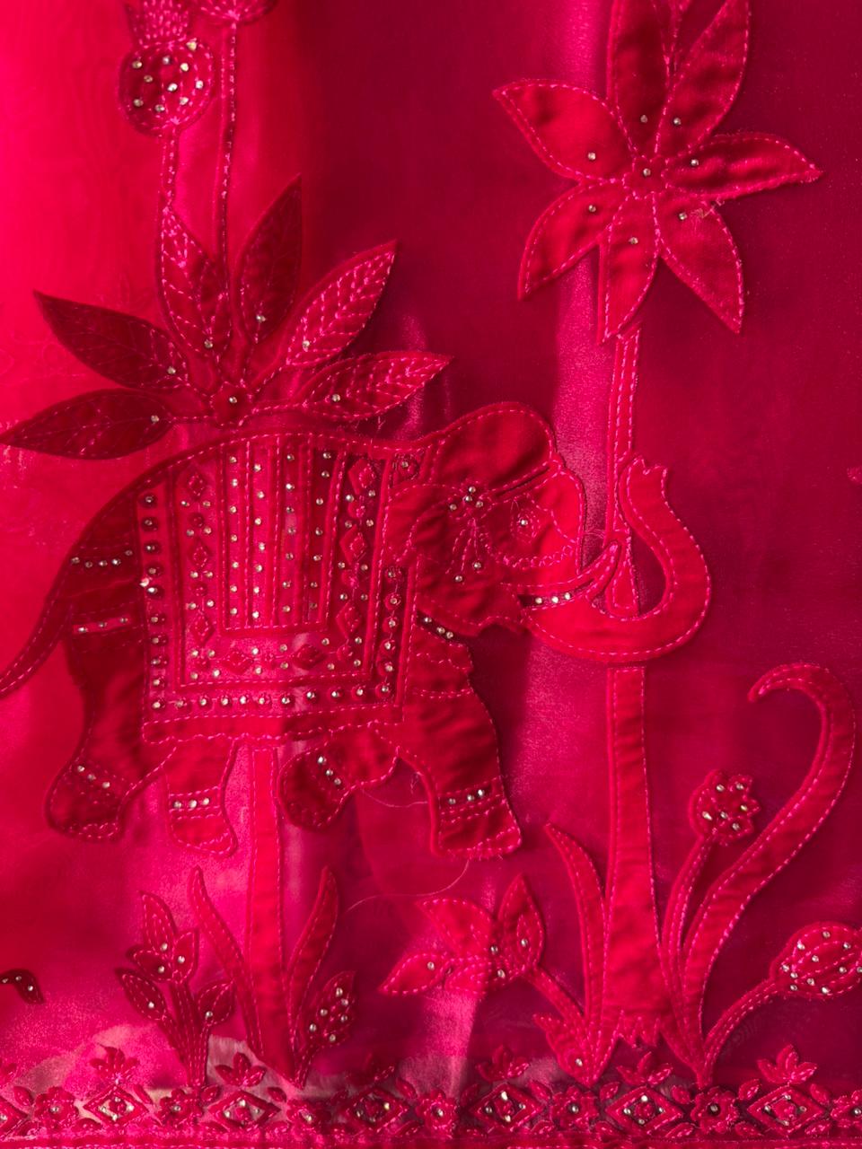 Velvet Elephant Appliqué Organza Unstitched Suit