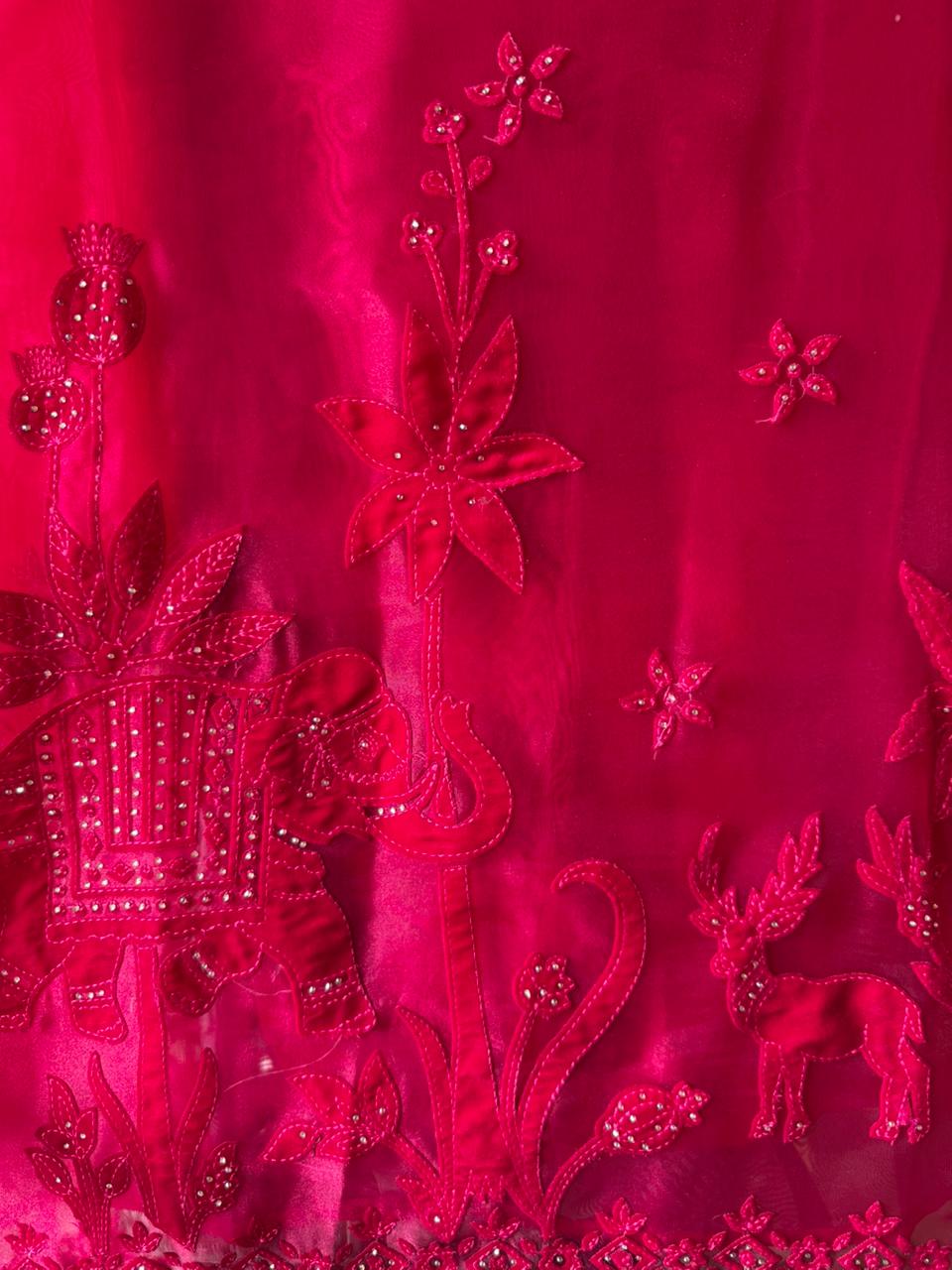 Velvet Elephant Appliqué Organza Unstitched Suit