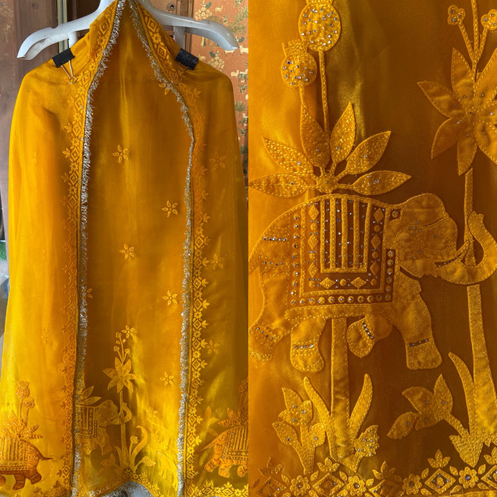 Velvet Elephant Appliqué Organza Unstitched Suit