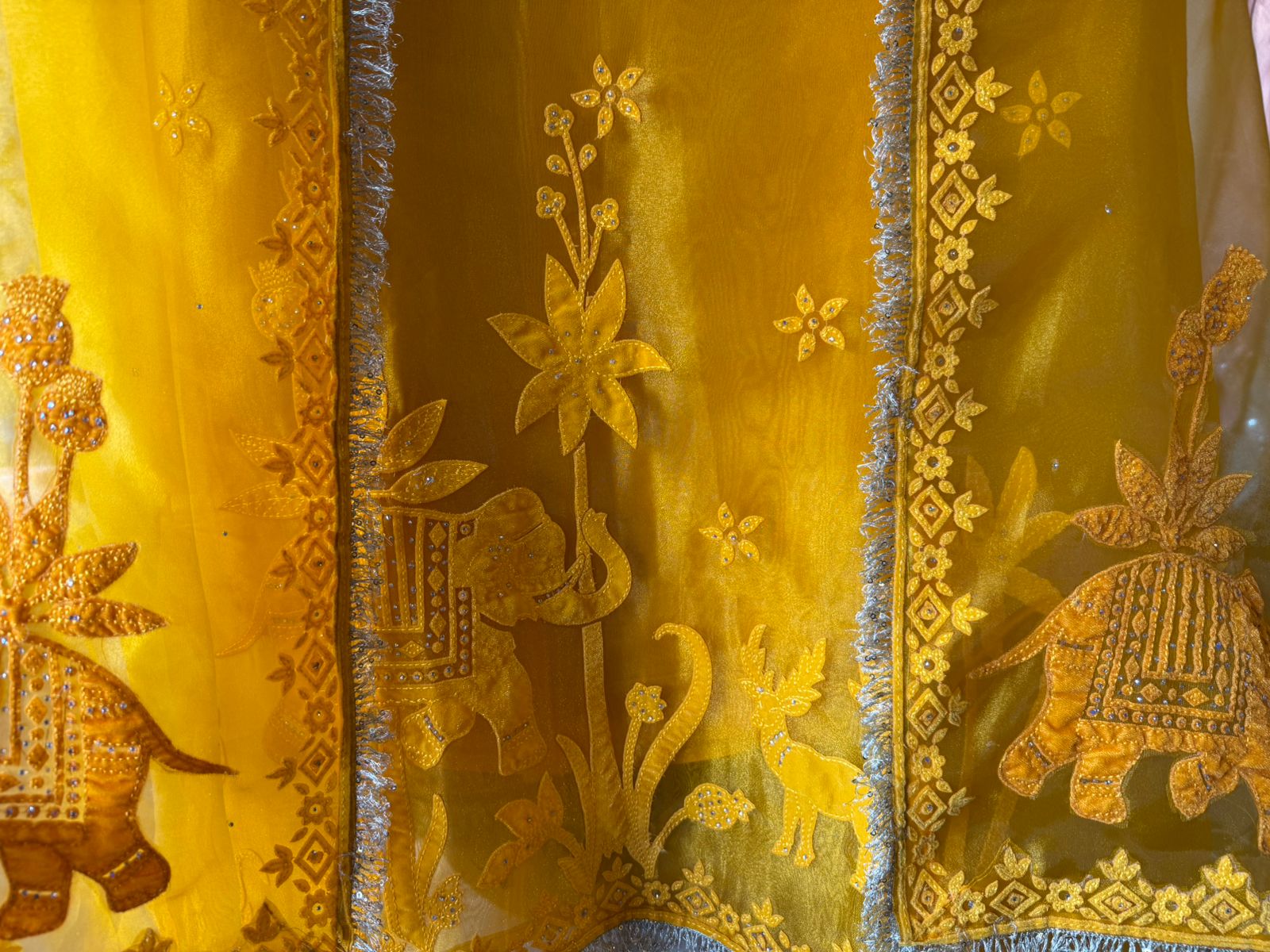 Velvet Elephant Appliqué Organza Unstitched Suit