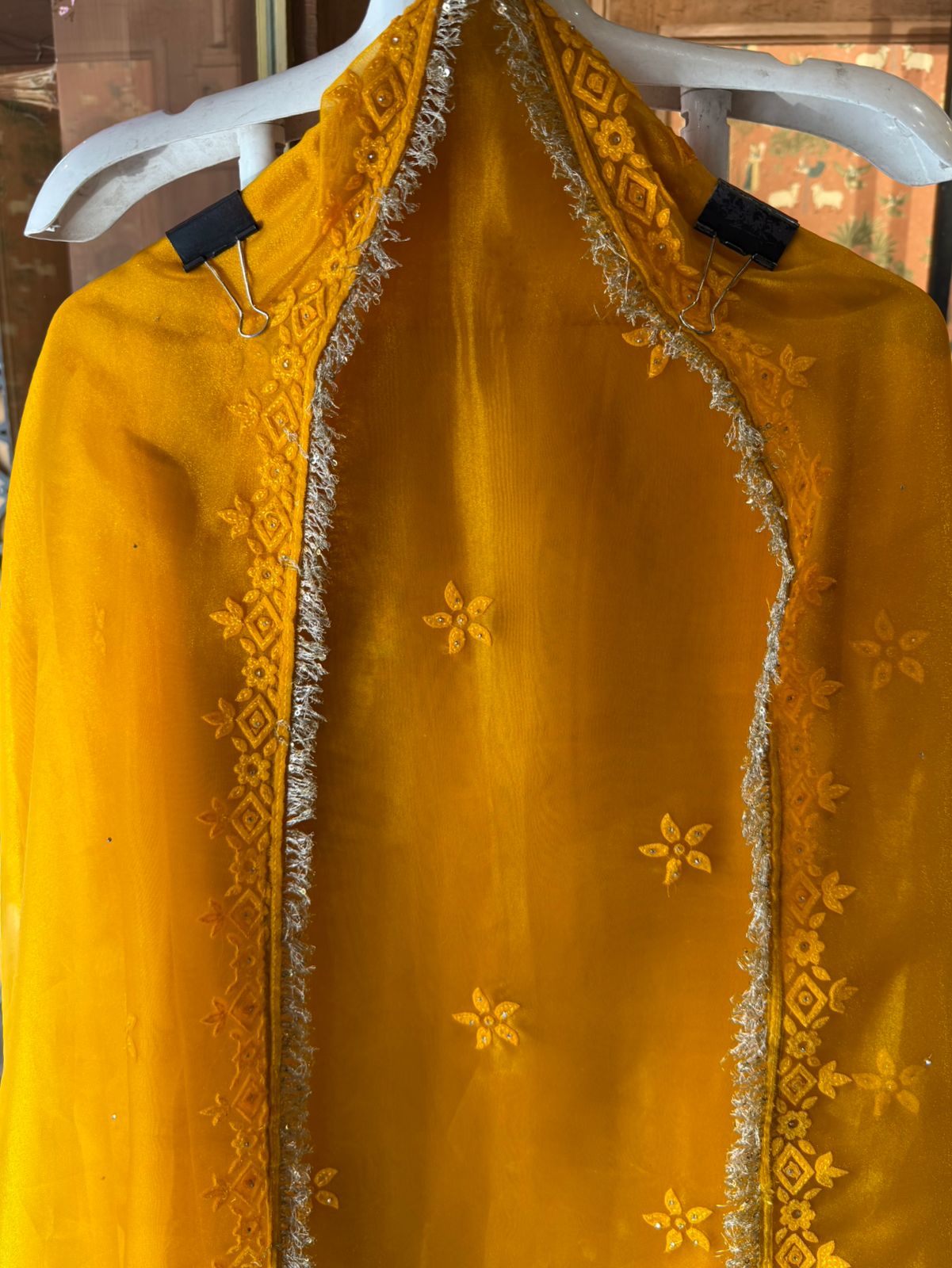 Velvet Elephant Appliqué Organza Unstitched Suit