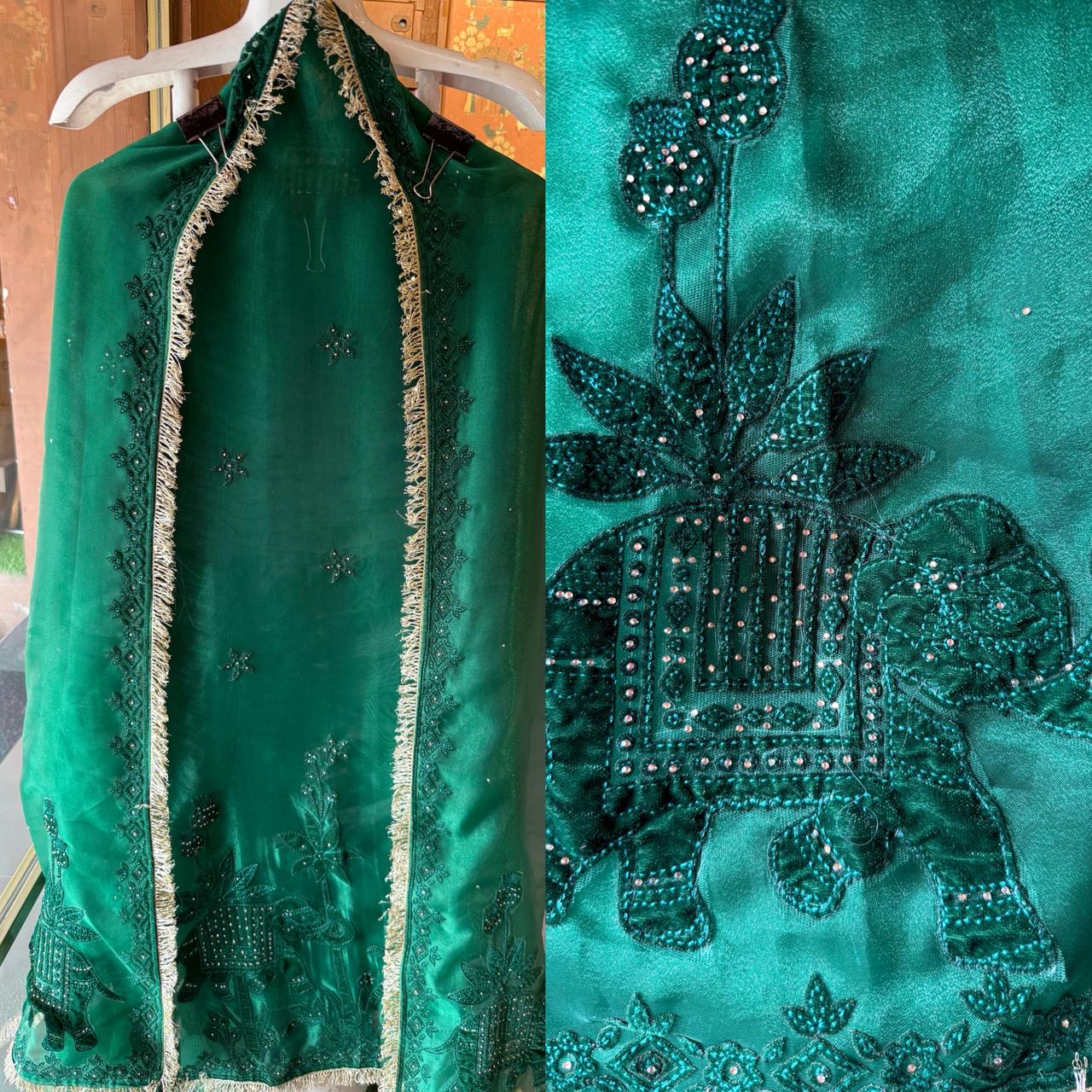 Velvet Elephant Appliqué Organza Unstitched Suit