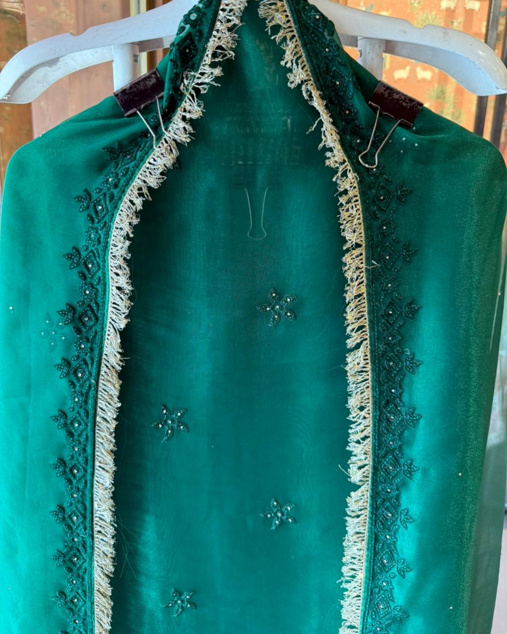 Velvet Elephant Appliqué Organza Unstitched Suit