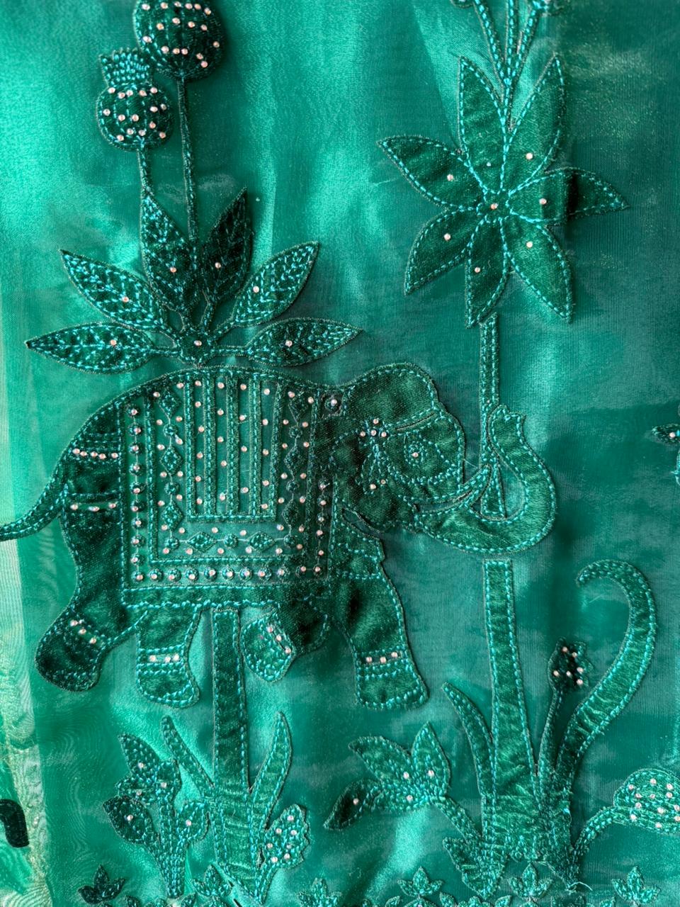 Velvet Elephant Appliqué Organza Unstitched Suit