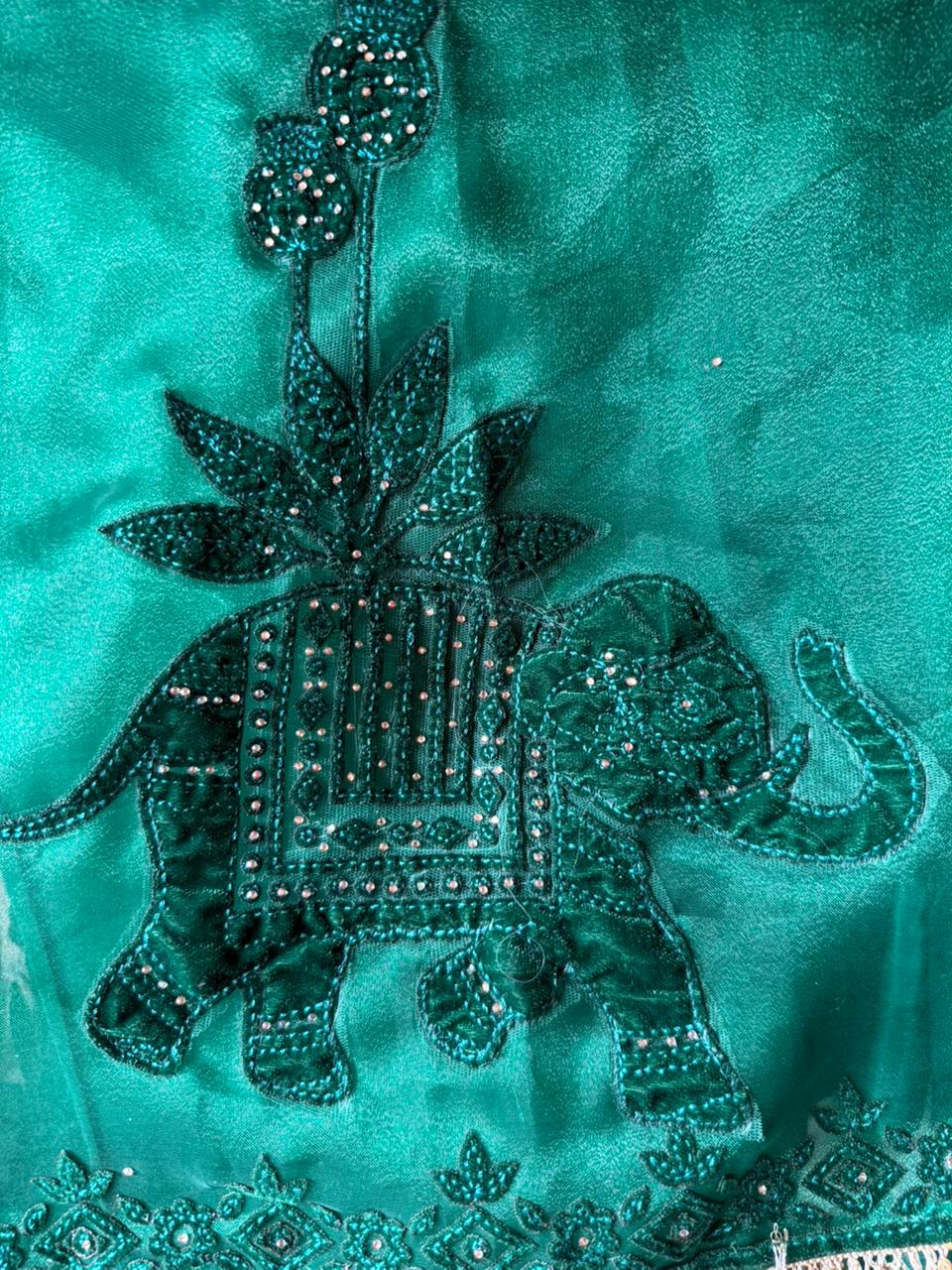 Velvet Elephant Appliqué Organza Unstitched Suit