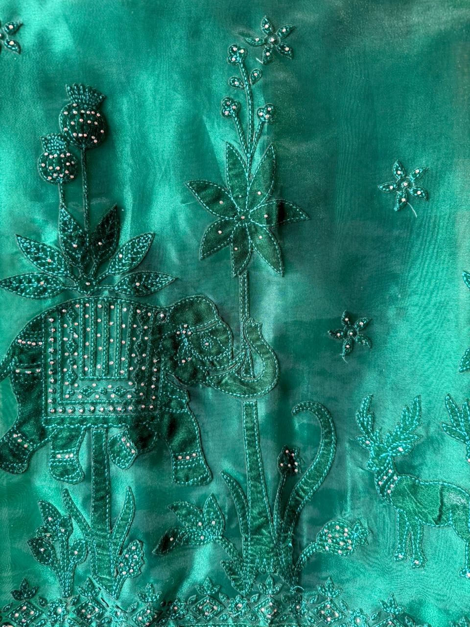 Velvet Elephant Appliqué Organza Unstitched Suit