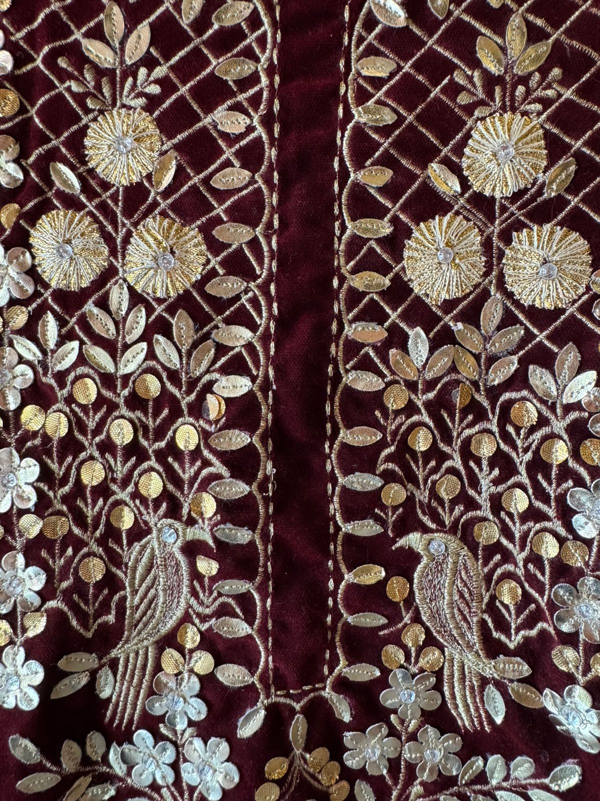 Rich velvet Suit
