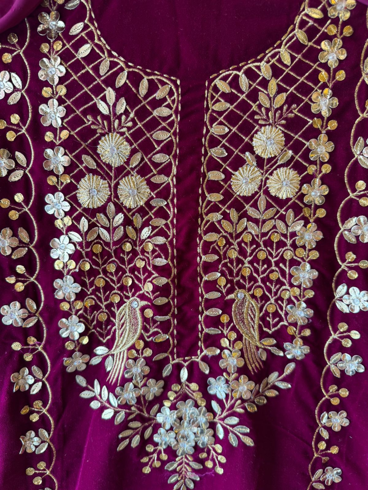 Rich velvet Suit