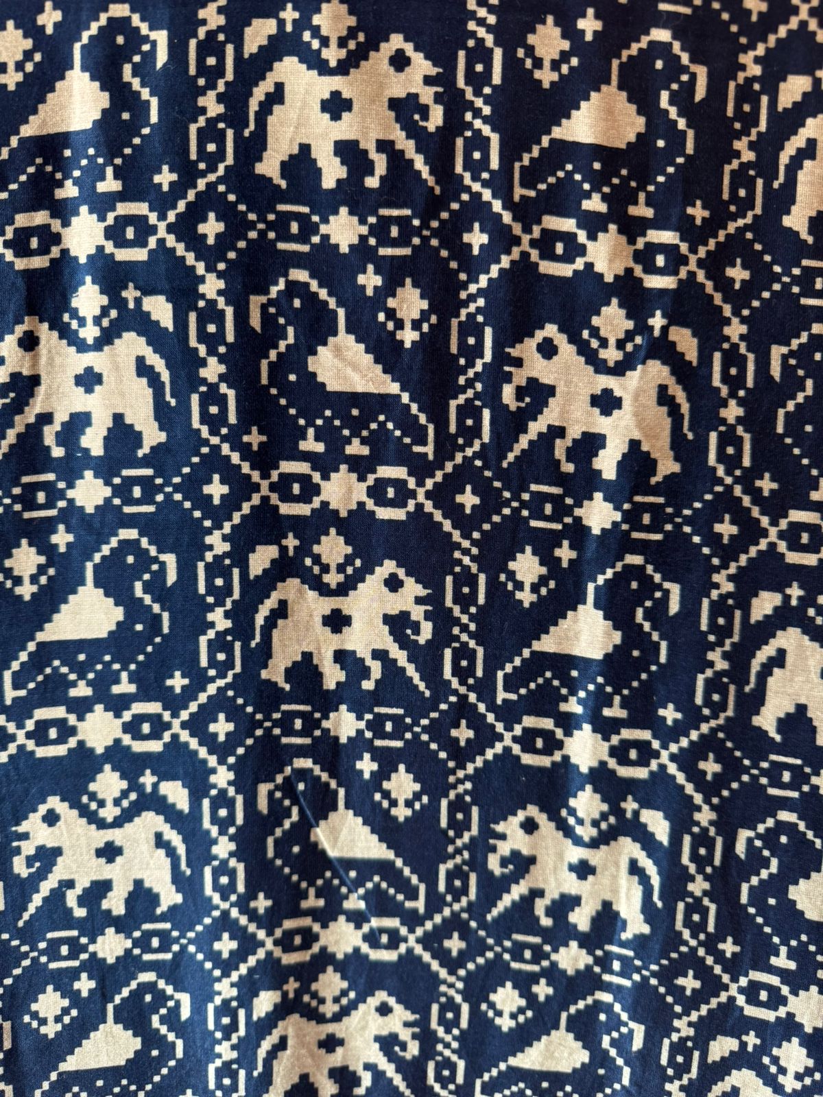 Traditional ethnic Suit set