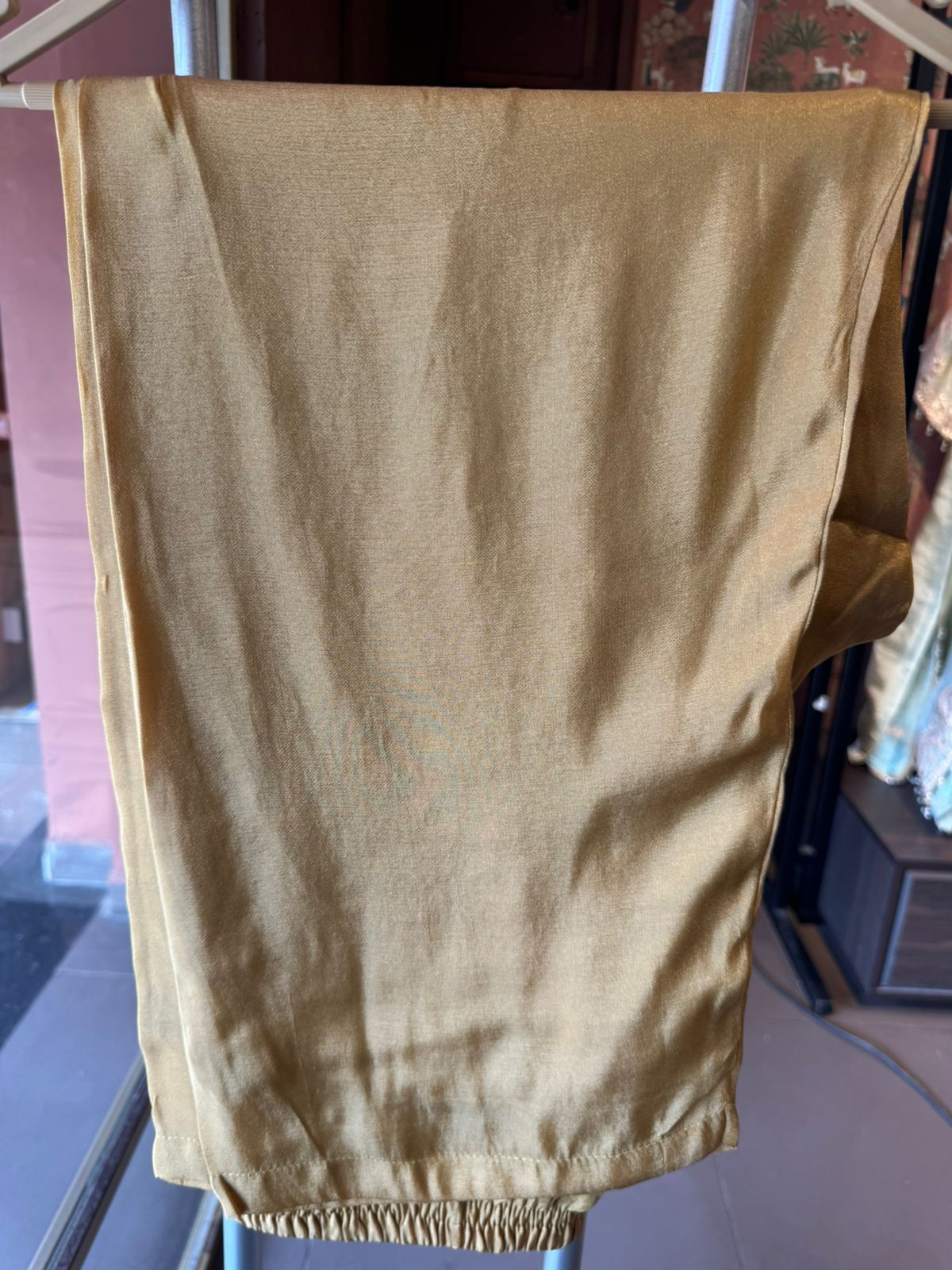 Elegant Embroidered Shimmer tissue Long Dress