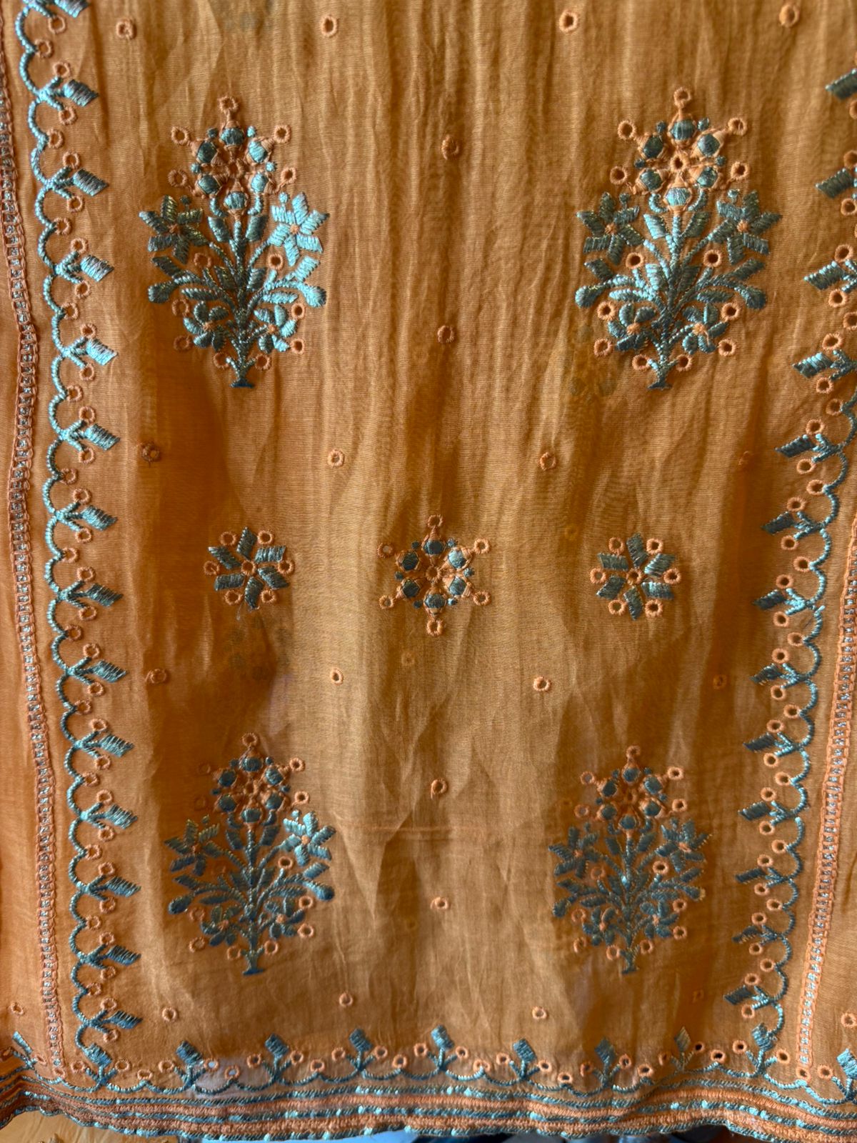 Ombre shaded Embroidered Suit Set
