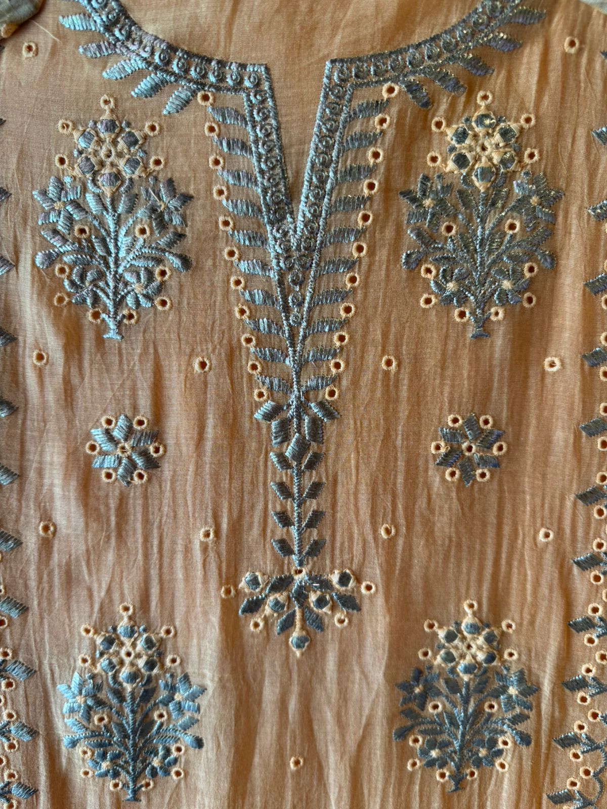 Ombre shaded Embroidered Suit Set