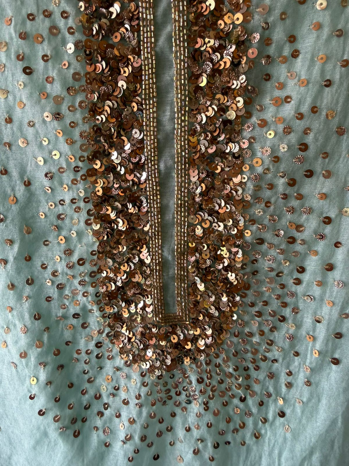 Beautiful sequin embroidery suit piece
