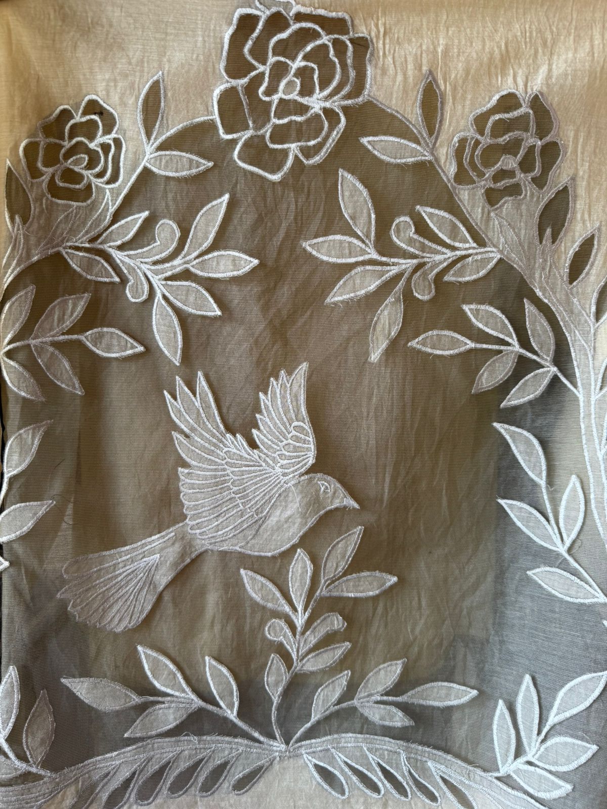 Designer Suit set With appliqué cutwork