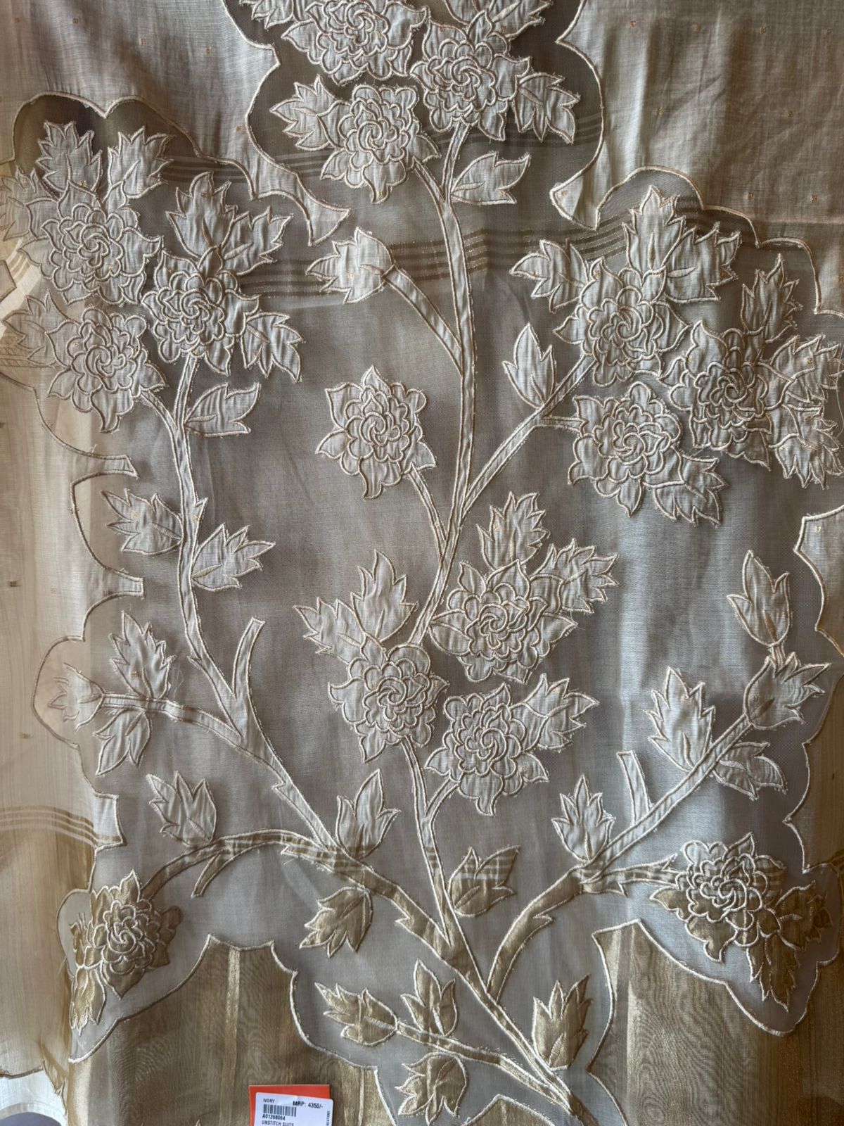 Champagne Floral Embroidered appliqué work Suit