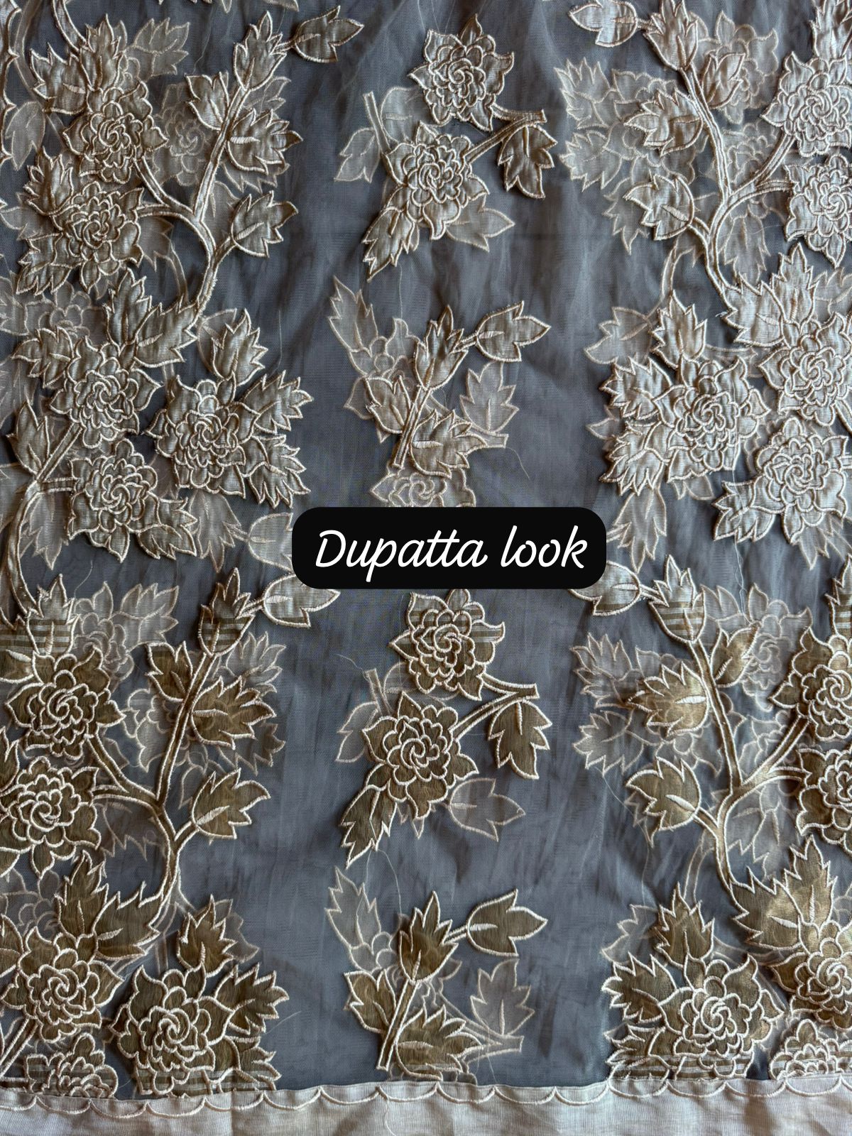 Champagne Floral Embroidered appliqué work Suit