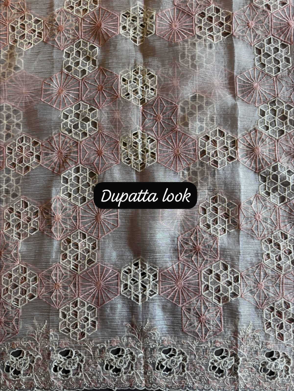 Luxury Cutwork Pakistani Embroidered designer Suit