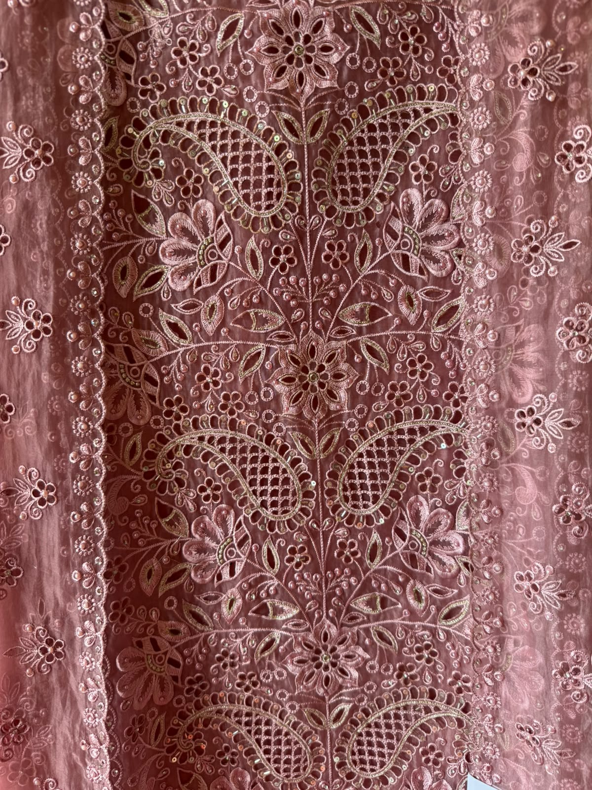 Pakistani designer Embroidered Organza Suit Set