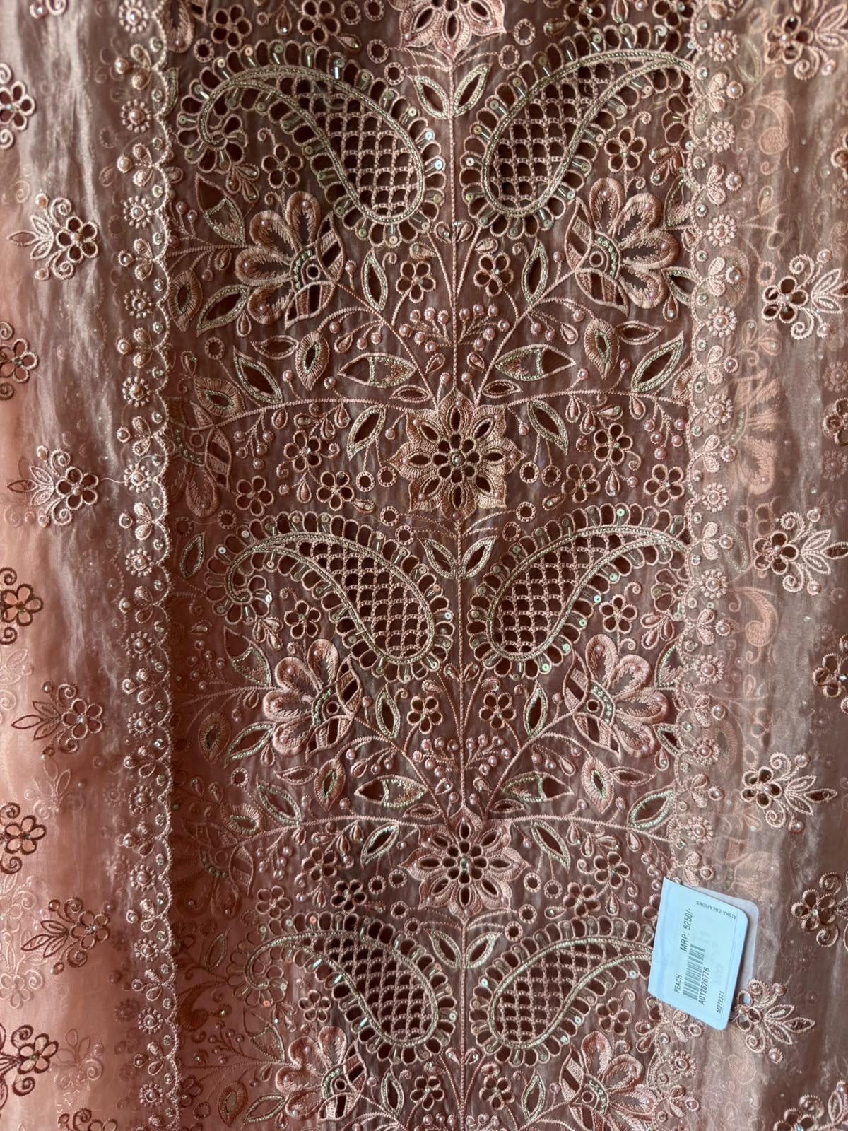 Pakistani designer Embroidered Organza Suit Set